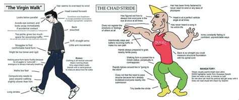 beta meaning urban dictionary|Why Incels Terms Like Beta, Chad, And Thot Are   .